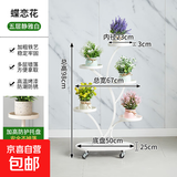 花架客厅2025新款轻奢花架置物架阳台多肉万向轮花盆托架多层铁艺 招财树五盆白