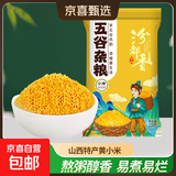 山西黄小米 油小米五谷杂粮月子米杂粮山西特产当季新米 精选山西黄小米250g