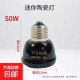 鹦鹉鸟类保温灯迷你陶瓷加热灯防烫灯罩鸟笼芦丁鸡取暖器箱保暖灯 迷你陶瓷灯【50W】