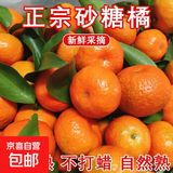 【产地直发】正宗广西金秋砂糖橘棉橘水果新鲜当地砂糖橘橘子新鲜 砂糖橘带箱9斤