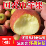 东北新鲜小国光苹果正宗老树国光苹果酸甜当季孕妇水果5/10斤包邮 9-9.5斤大果（带箱）净重8斤