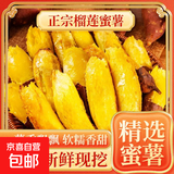 新鲜现挖沙地蜜薯黄心红薯龙九甜美薯红薯山药芋头土豆 榴莲蜜薯 净重3斤