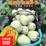 【亏本冲量】芝麻蜜脆甜瓜种子甜掉牙香瓜超甜冰糖瓜四季懒人室内 芝麻密甜瓜种子 1包约100粒