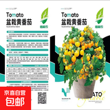 【京东物流】番茄种子盆栽番茄阳台盆栽农家田园大全各种各样 盆栽黄番茄种子2包约400粒