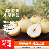 【已售50万斤】河北水晶鸭梨赵州鸭梨产地直发单果160g起 带箱2.5斤装（净重2.1-2.2斤）