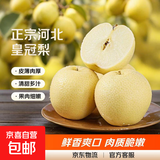 正宗河北皇冠梨产地直发深泽皇冠梨10 带箱9斤净重8.2斤