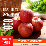 脆甜嘎啦苹果陕西特产鲜水果整箱新鲜上市箱装-千果悦 嘎啦苹果带箱四斤60起