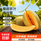 正宗哈密瓜西州蜜大果甜瓜新鲜采摘蜜瓜脆甜多汁整箱 哈密瓜3-4斤（1-2粒装）