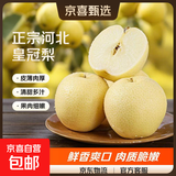 正宗河北皇冠梨产地直发深泽皇冠梨10 皇冠梨带箱2斤装净重1.6-1.8斤