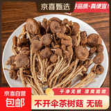 【买赠爆品】正宗古田不开伞茶树菇农家精选特产食材茶树菇干货 茶树菇250g 【不开伞茶树菇】
