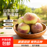 山东当季青州蜜桃新鲜脆甜可口毛桃冬桃产地直发-鲜集 青州蜜桃带箱5斤