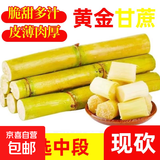 【精选中段】黄金甘蔗现砍黄皮甘蔗新乡当季水果脆甜榨汁-乐磊B 带箱9斤优选