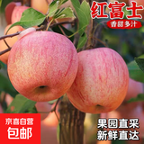 正宗山东红富士苹果丑苹果新鲜水果当季脆甜冰糖心条纹苹果 带箱2斤
