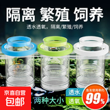 鱼缸孵化盒孔雀鱼繁殖隔离盒小型鱼卵鱼苗斑马鱼斗鱼缸内鱼缸用品 小号+大号蓝色送吸盘 水族隔离箱