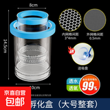 鱼缸孵化盒孔雀鱼繁殖隔离盒小型鱼卵鱼苗斑马鱼斗鱼缸内鱼缸用品 大号蓝孵化桶（双层整套）送吸盘 水族隔离箱