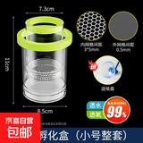 鱼缸孵化盒孔雀鱼繁殖隔离盒小型鱼卵鱼苗斑马鱼斗鱼缸内鱼缸用品 小号绿孵化桶（双层整套）送吸盘 水族隔离箱