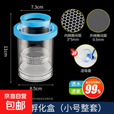 鱼缸孵化盒孔雀鱼繁殖隔离盒小型鱼卵鱼苗斑马鱼斗鱼缸内鱼缸用品 小号蓝孵化桶（双层整套）送吸盘 水族隔离箱