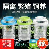 鱼缸孵化盒孔雀鱼繁殖隔离盒小型鱼卵鱼苗斑马鱼斗鱼缸内鱼缸用品 小号+大号白色送吸盘 水族隔离箱