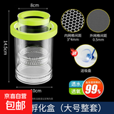 鱼缸孵化盒孔雀鱼繁殖隔离盒小型鱼卵鱼苗斑马鱼斗鱼缸内鱼缸用品 大号绿孵化桶（双层整套）送吸盘 水族隔离箱