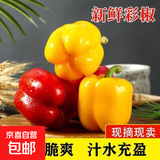 新鲜五彩灯笼椒甜椒七彩水果椒寿光蔬菜太空椒新鲜蔬菜 彩椒红黄5斤