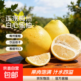 正宗梅州白心蜜柚非沙田柚新鲜水果现摘直发丫丫 中果/1.5-2.5斤 2粒装【人气】