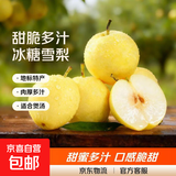 京喜加赵县雪花梨河北正宗雪花梨【适合煲汤】 单果170g+ 带箱9-10斤（净重8.2斤）