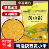 陕西米脂小米 黄小米黑小米 油小米月子米五谷杂粮新米小米粥 米脂黄小米2500g