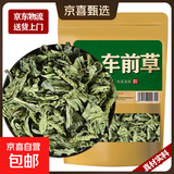 车前草中药材新鲜干货猪耳朵草车轮草菜整株切段 车前草500g