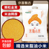 陕西米脂小米 黄小米黑小米 油小米月子米五谷杂粮新米小米粥 【活动】陕西米脂黄小米100g