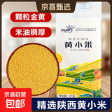 陕西米脂小米 黄小米黑小米 油小米月子米五谷杂粮新米小米粥 米脂黄小米真空装1000g