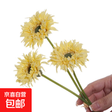 把束拉丝菊 简约现代陶瓷花瓶摆件 插花干花花束会议桌装饰高端 奶油黄/1枝