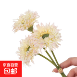 把束拉丝菊 简约现代陶瓷花瓶摆件 插花干花花束会议桌装饰高端 浅粉/1枝