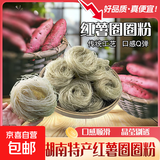 红薯圆圈粉条细粉条一个约50g火锅酸辣粉专用 红薯圆圈粉2500g*袋