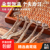 菇里巴巴七彩菌汤包香菇鹿茸菇干货煲汤火锅食材 鹿茸菇干货云南食用菌特产煲汤脆脆菇100g