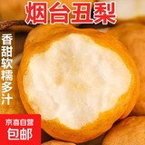 烟台正宗中华丑梨东北大头梨太婆梨香甜软糯莱阳梨子忽山新11 大果丑梨净重4.5斤