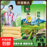 云南拇指玉米 黑糯紫糯白糯西双版纳迷你儿童小玉米傣家甜香 精选拇指玉米503g 约8-12根
