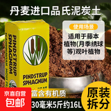 萌萌肉品氏泥炭土丹麦进口多肉营养土花土纯泥炭草炭养花基质疏松 纯泥炭10-30毫米5斤