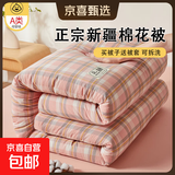 新疆棉花被棉被芯垫被褥子棉絮单人春秋被加厚保暖棉被冬被冬季 粉小格【纯天然新疆棉花】 150x200cm冬被【约6斤】