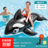 儿童成人水上坐艇坐骑加厚充气游泳池漂浮玩具双人充气浮排冲浪板 (通用)鲸鱼黑色1.9米+手泵充气快