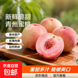 山东青州蜜桃特产新鲜时令水果当季现摘整箱脆桃毛桃子-鲜集 青州蜜桃带箱5斤