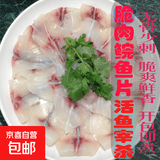 广东脆皖吊水脆脆肉鱼脆鱼肉鱼腩火锅新鲜原味冷冻脆皖鱼鱼片 500g*5袋