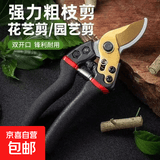 强力剪园艺剪不锈钢剪刀剪枝剪专用省力剪子切屑花芽修花剪刀修枝剪剪刀 强力粗枝剪