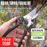强力剪园艺剪不锈钢剪刀剪枝剪专用省力剪子切屑花芽修花剪刀修枝剪剪刀 sk5高速钢园艺剪
