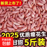 养胃瘪花生新货零食小瘪花生米小粒生小秕子花生干瘪小花生仁生吃 瘪花生米1斤