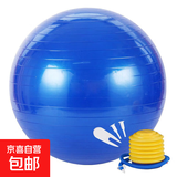 瑜伽球健身球感统训练瑜珈球大龙球加厚充气运动健身器材家用 瑜伽球-蓝色【65cm含泵气塞】