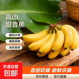 正宗甜香蕉 新鲜采摘生态种植 需催熟 青香蕉发货 3斤