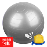 瑜伽球健身球感统训练瑜珈球大龙球加厚充气运动健身器材家用 瑜伽球-灰色【65cm含泵气塞】