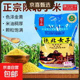 陕北黄小米 油小米 正宗米脂小米真空米砖新米羊粪石碾品质 陕北米脂黄小米5斤