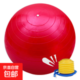 瑜伽球健身球感统训练瑜珈球大龙球加厚充气运动健身器材家用 瑜伽球-红色【65cm含泵气塞】