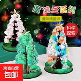 儿童趣味玩具魔法树七彩圣诞树神奇浇水纸树能开花结晶圣诞节礼品 迷你圣诞树-小号随机